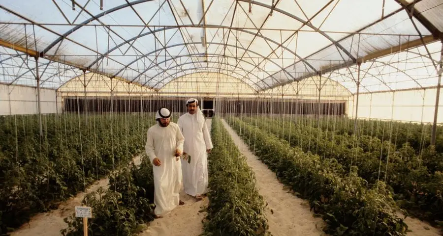 UAE's ADQ fund powers world's first solar desalination plant for agriculture