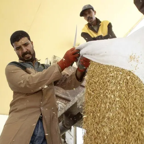 Algeria buys milling wheat in tender - traders