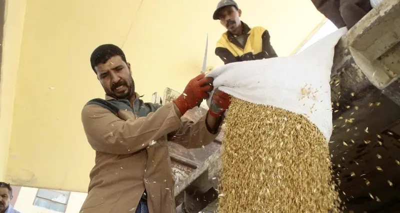 Algeria buys milling wheat in tender - traders