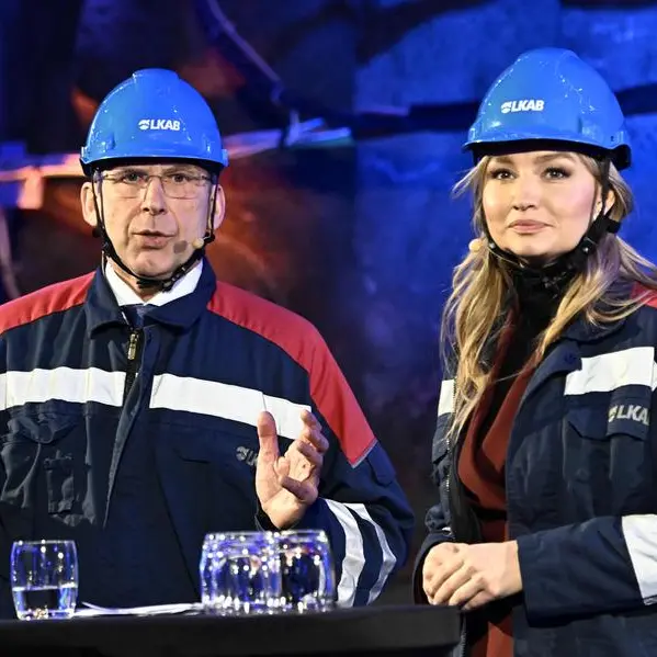 Europe's largest rare earths deposit discovered in Sweden: firm