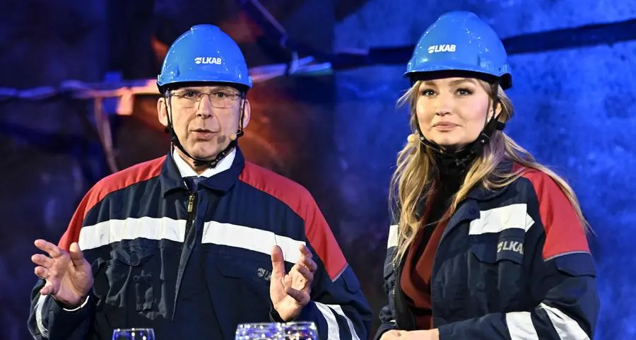 Europe's largest rare earths deposit discovered in Sweden: firm