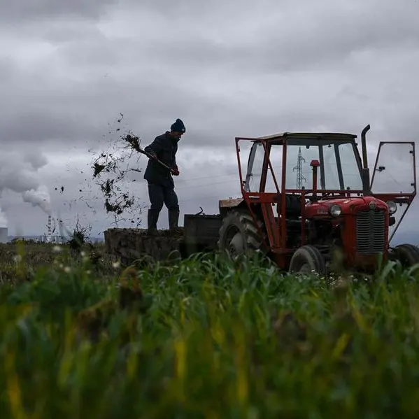 Algeria bought corn and soymeal in tender but volume unclear, traders say