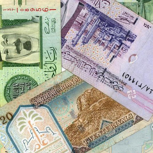Saudi's Arab National Bank reports rise in earnings, shares follow