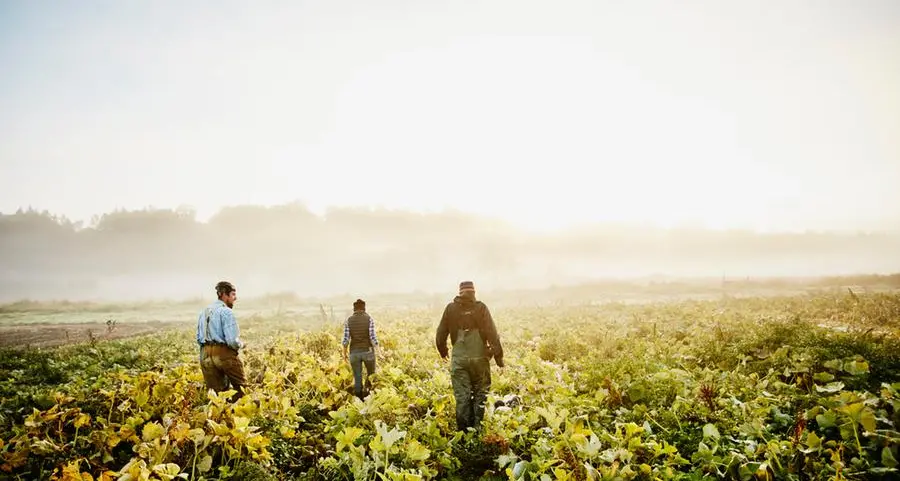 Saudi agritech Iyris raises $16mln to help farmers in harsh climates