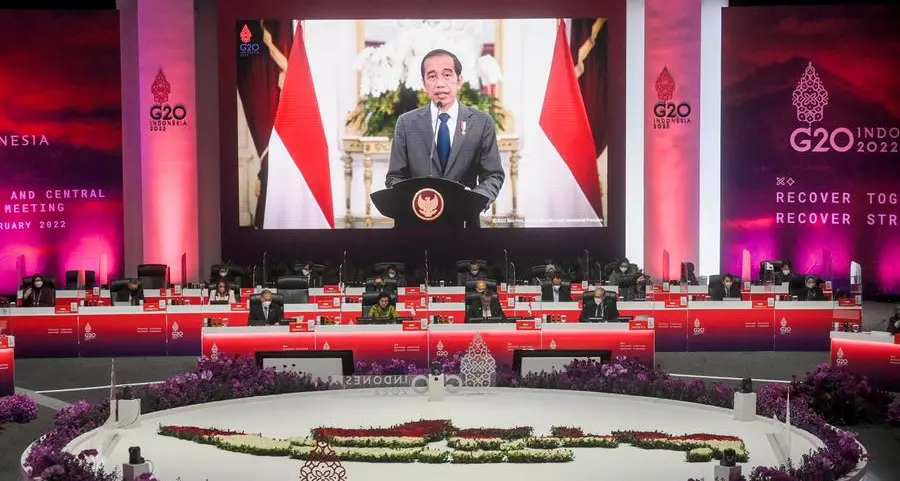 Indonesian peace mission to Russia and Ukraine to put focus on food crisis