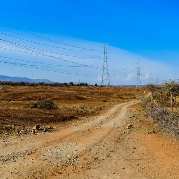 Zambia to resume work on power line link to Tanzania, World Bank official says