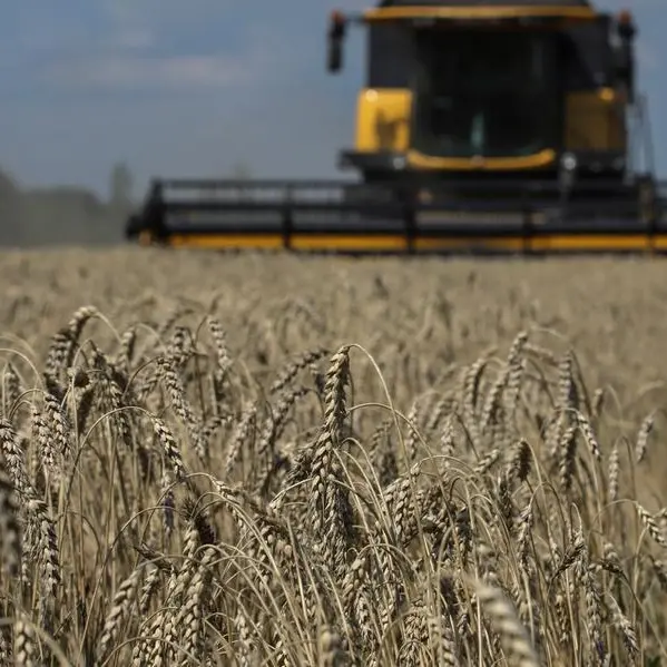 Can Ukraine's grain deal ease the global food crisis?