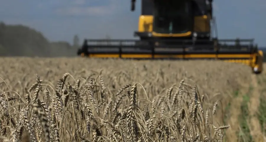 Can Ukraine's grain deal ease the global food crisis?