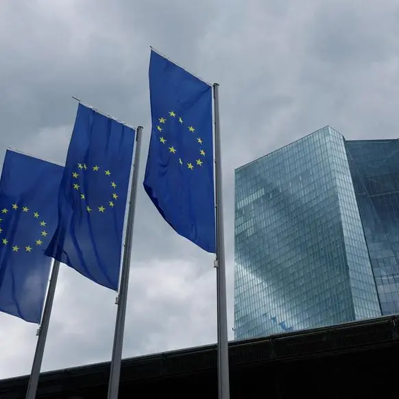 ECB, banks rift hampers Europe's efforts to loosen reliance on US payments giants