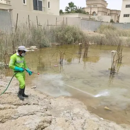 Tadweer steps up measures to control disease-carrying pests at construction sites in Abu Dhabi