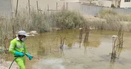 Tadweer steps up measures to control disease-carrying pests at construction sites in Abu Dhabi