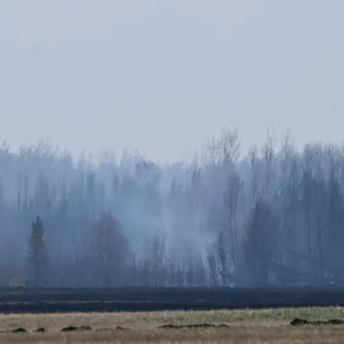 Western Canada seeks urgent help to fight wildfires