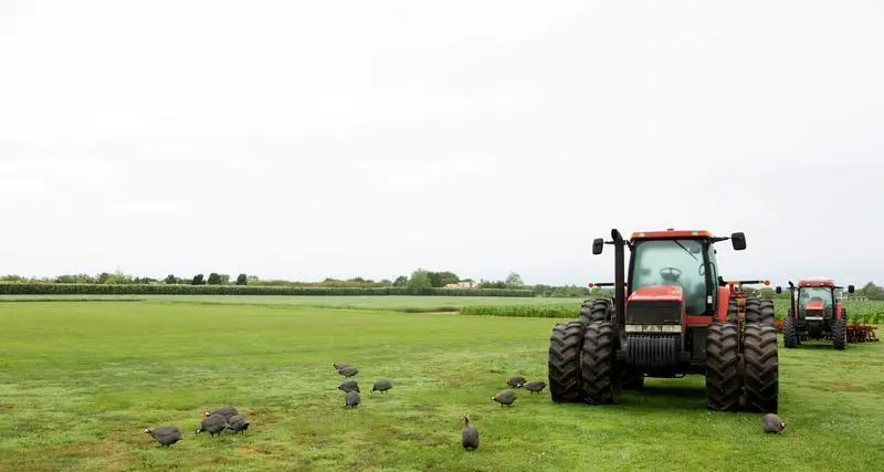 US farmers shun buyers, cling to unsold corn as prices slump