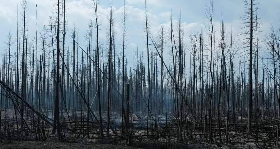 Canada's record wildfire season: what's behind it and when will it end?