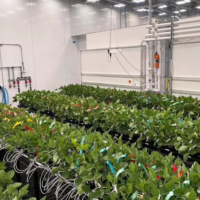 EU-backed green auditor cracks down on China island biofuel trade