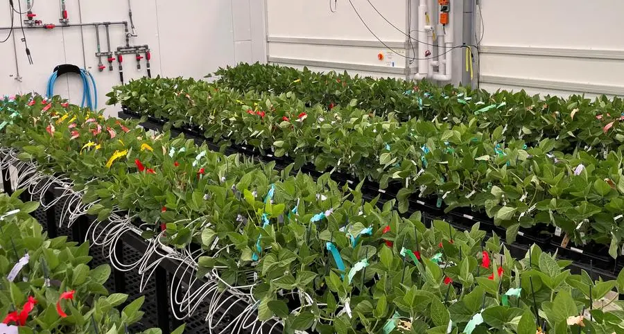 EU-backed green auditor cracks down on China island biofuel trade