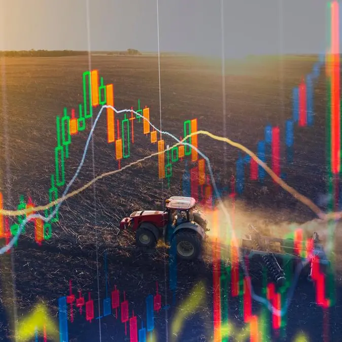 Global food prices down for 10th consecutive month in January