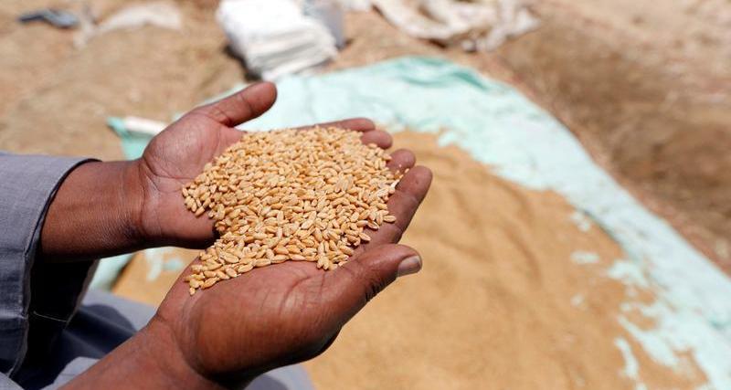 Syria says no worries about wheat reserves - state news agency