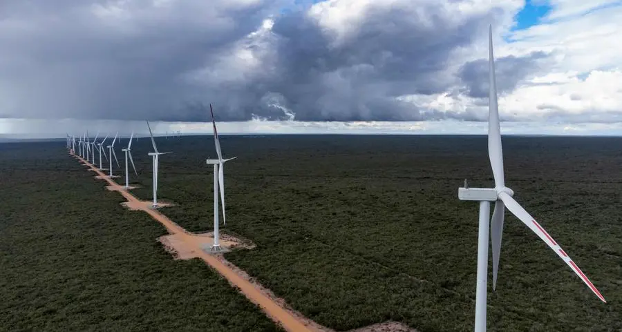 Brazil faces dilemma: endangered macaw vs. wind farm