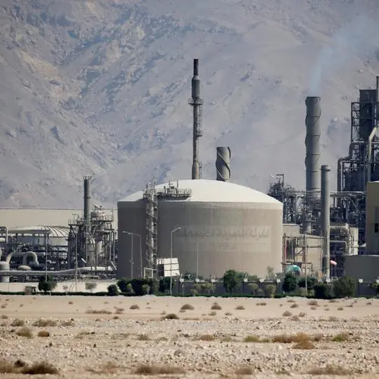 Egyptian fertilizer factories shut down temporarily over pressures on the national gas grid