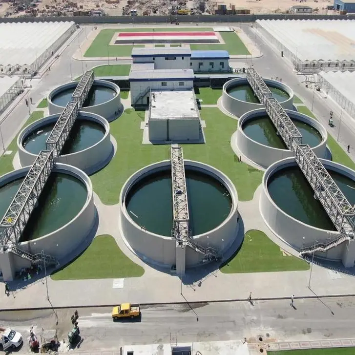 A strategic partnership supporting sustainable development in Egypt – The Bahr Al-Baqar project as a model