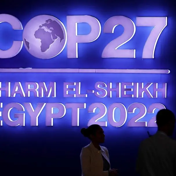 At COP27, nature protection takes root - but value still unclear