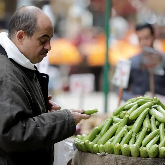 Crop prices decline but still relatively high due to EGP depreciation: Egypt