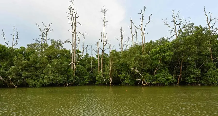 Why Indonesia is moving its capital to the rainforests of Borneo