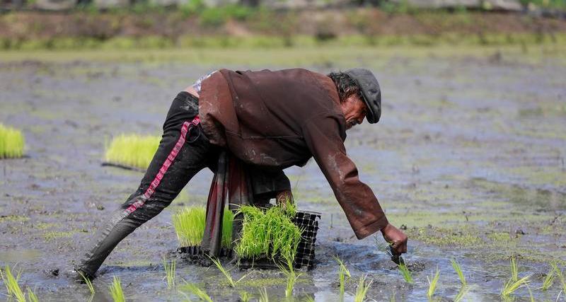Thailand aims for pact with Vietnam to raise rice prices