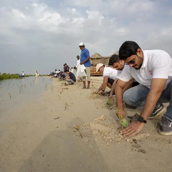 Dulsco Group and clients root for climate change action in mangrove tree plantation drive