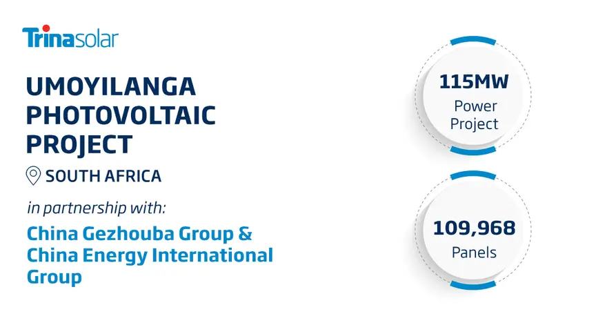 Trina Solar partners with China Energy International Group and China Gezhouba Group