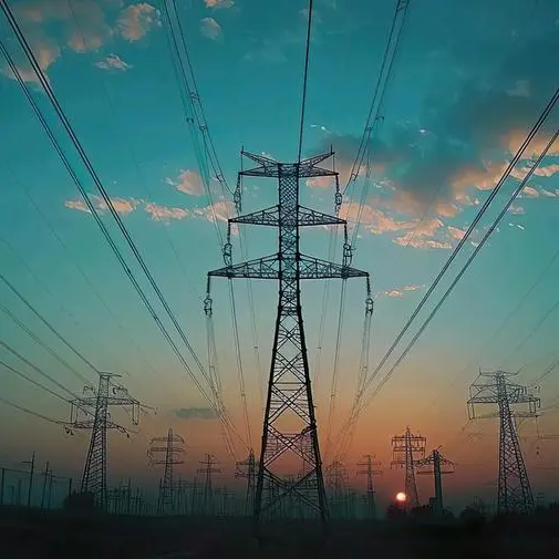 Irena urges governments to set bolder renewable targets before COP30