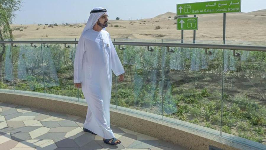 Sheikh Mohammed announces major project for Dubai’s countryside