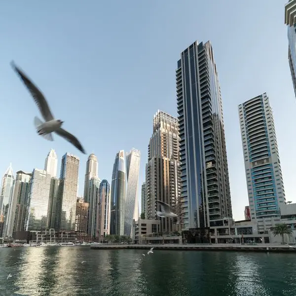 UAE: Authority launches new initiative to protect birds from heat