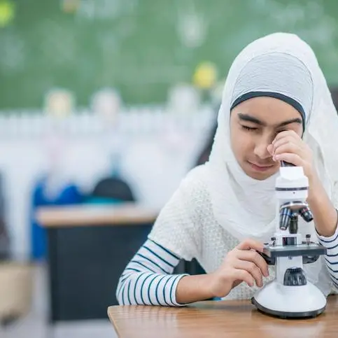 Cairo Investment eyes building schools in new cities