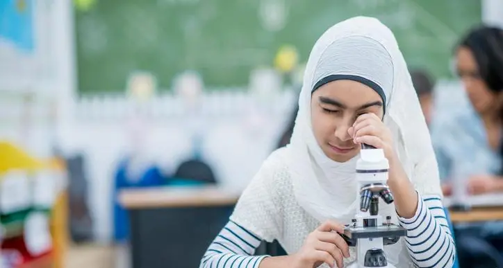 Cairo Investment eyes building schools in new cities