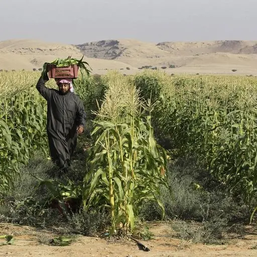 Growing future of the Saudi agribusiness sector