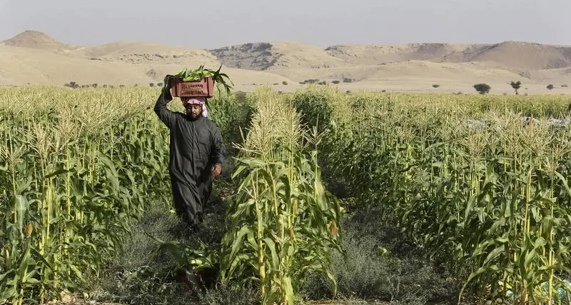 Growing future of the Saudi agribusiness sector