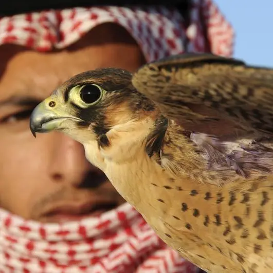 Stiff penalties await illegal loggers and hunters in Saudi Arabia