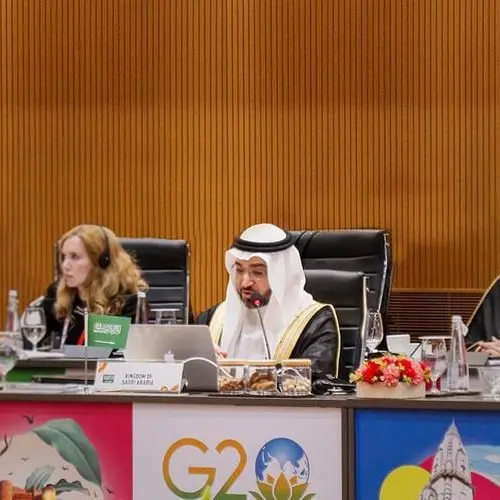 Saudi Arabia provides insight on Sustainable Development Goals at India's G20 Meeting