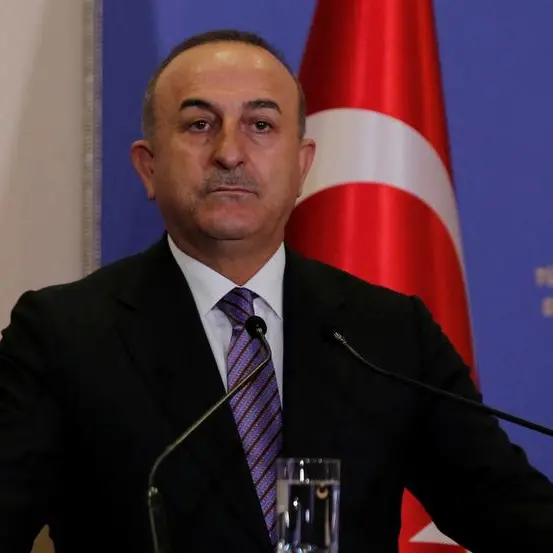Turkey, Egypt to re-appoint ambassadors \"in coming months\" - Turkish FM