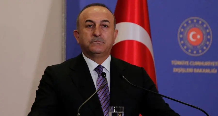 Turkey, Egypt to re-appoint ambassadors \"in coming months\" - Turkish FM