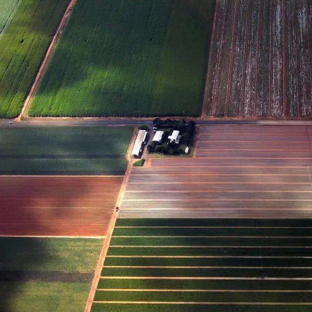 UK receives first tariff-free sugar shipment from Australia in 50 years