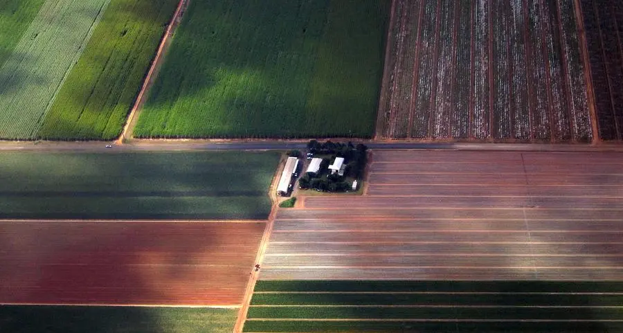 UK receives first tariff-free sugar shipment from Australia in 50 years