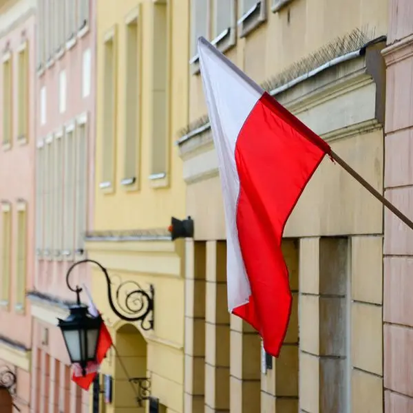 UAE, Poland discuss ways of enhancing financial and economic cooperation