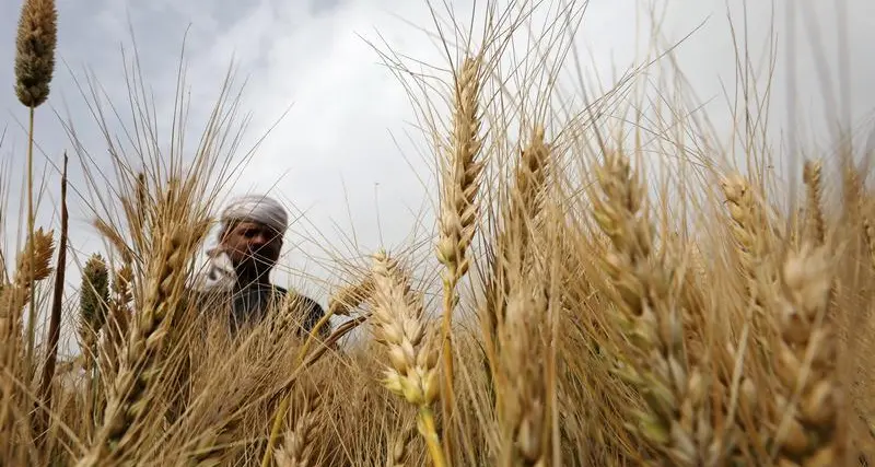 Egypt automates wheat silos processes using IBM AI-powered software