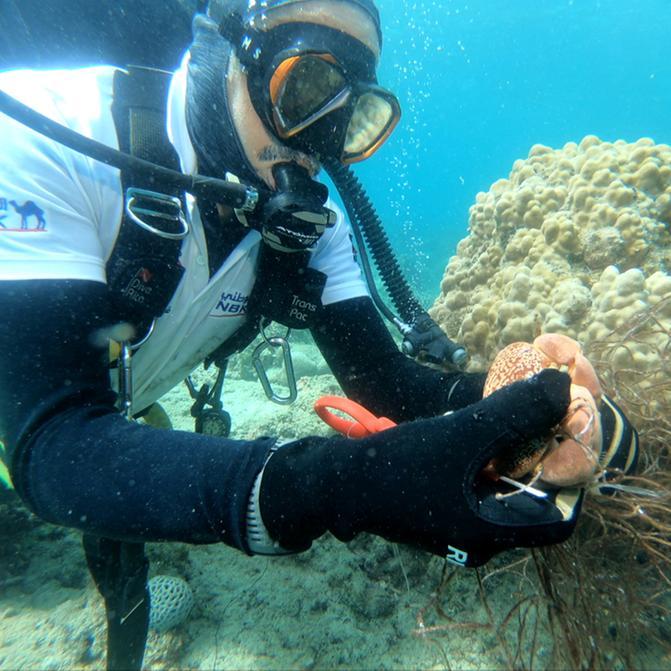 NBK partners with the Kuwait dive team to preserve Kuwait’s marine environment