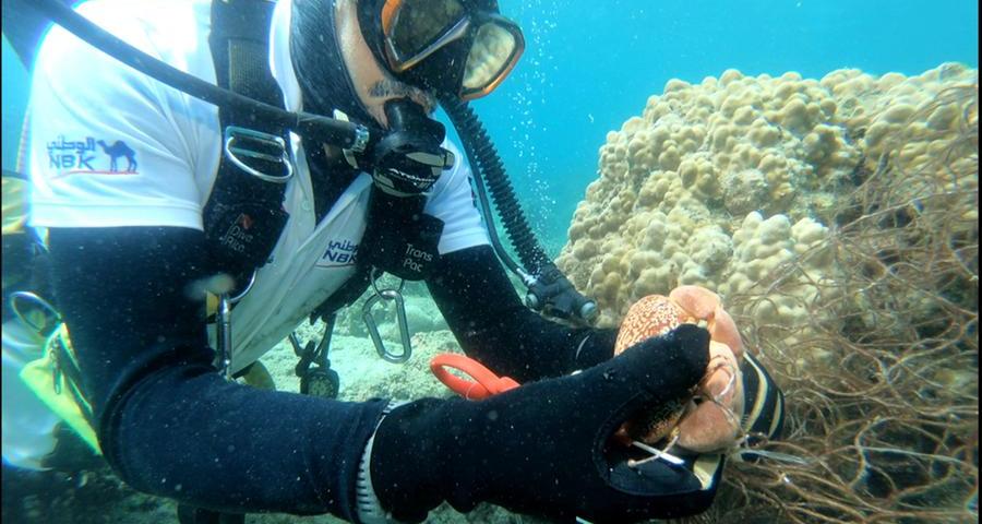 NBK partners with the Kuwait dive team to preserve Kuwait’s marine environment