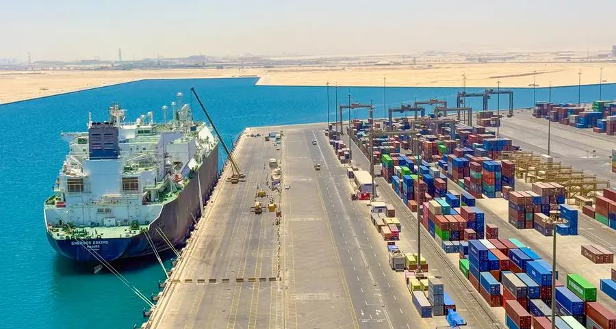 Egypt, DP World mull expanding logistics centers to foster trade in Africa
