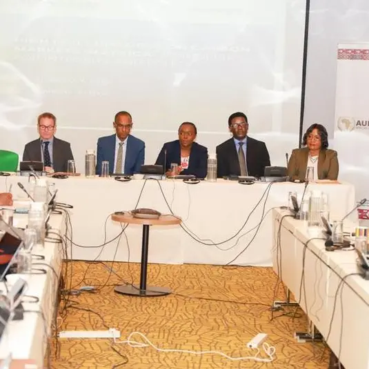 Africa unveils landmark integrity & equity principles and coordination platform to strengthen carbon markets